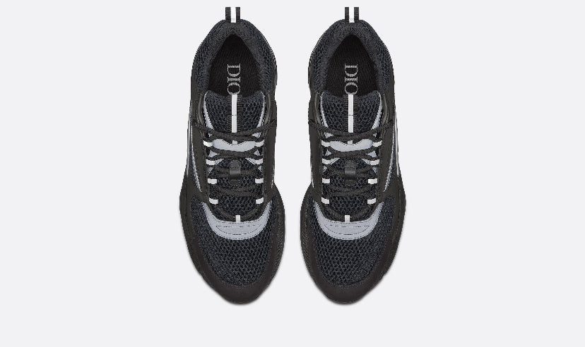 Dior b22